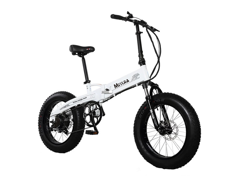 Giantplus-Read Whats Much Better: Ebike Or Petrol Bike News On Giantplus-1