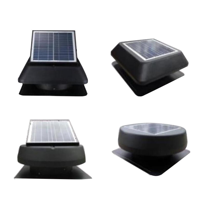 SUNNY Array image102