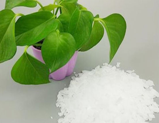 Sainuo Array image63