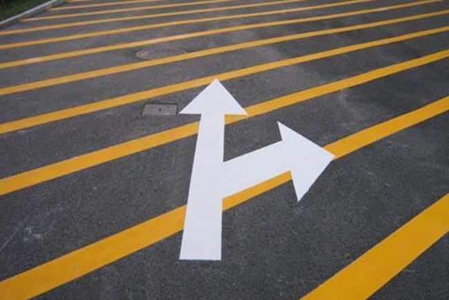 Sainuo Array image254