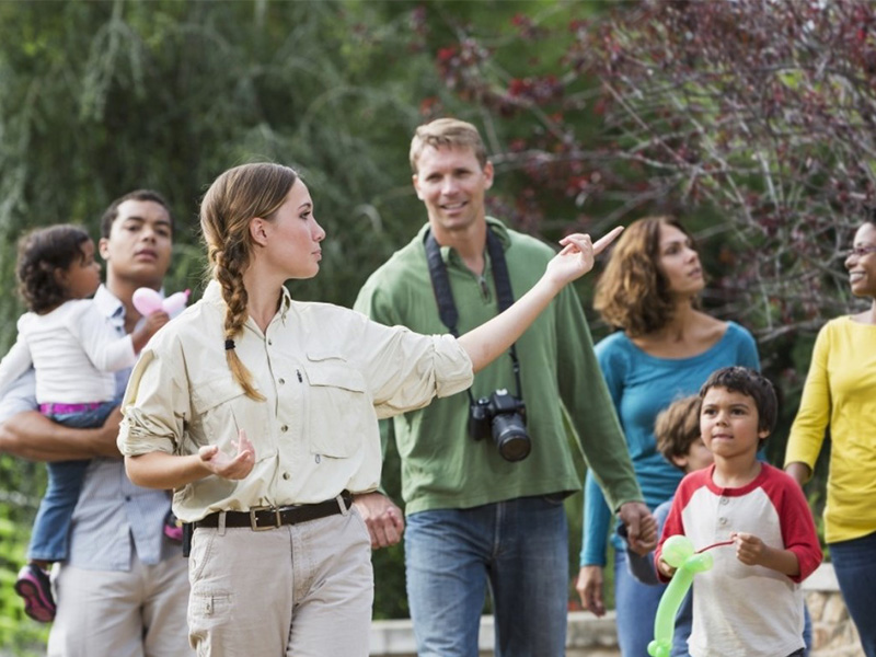 DDJOY Array image130