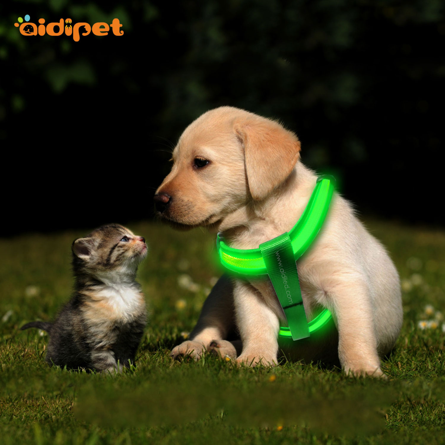 Fishing Net Reflective Rechargeable Led Dog Harness AIDI-H1