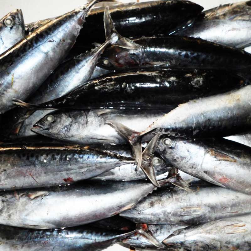 LongSheng Array image343