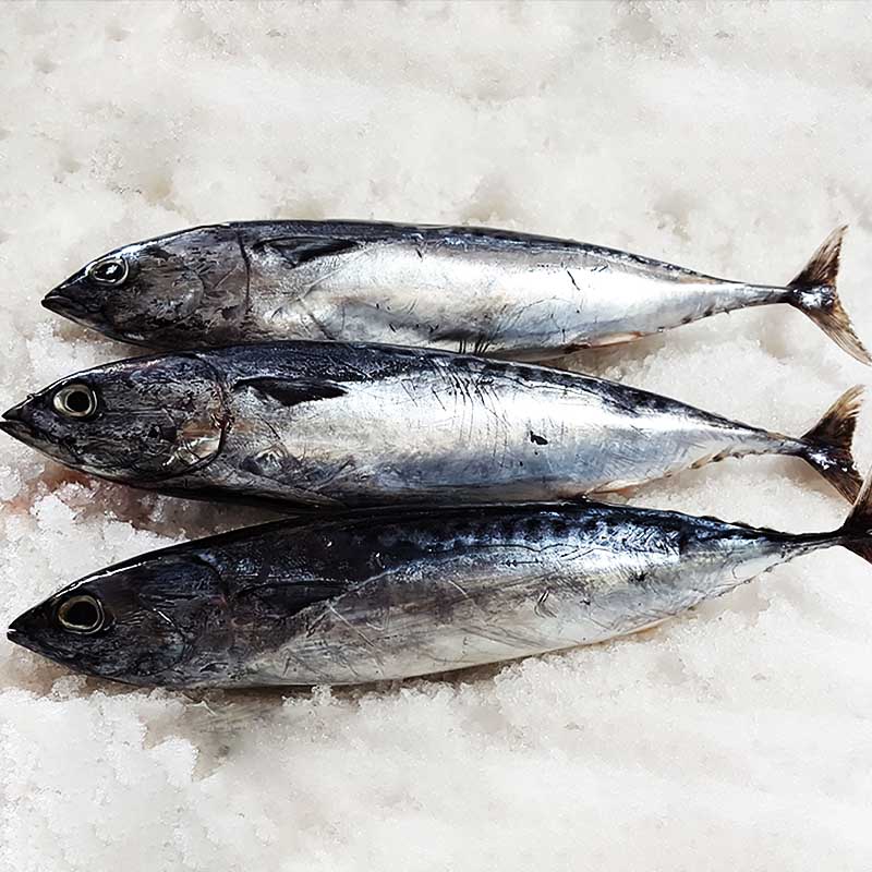 LongSheng Array image156