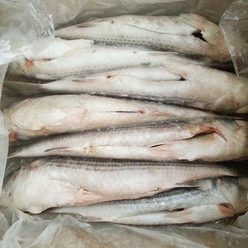 LongSheng Array image18