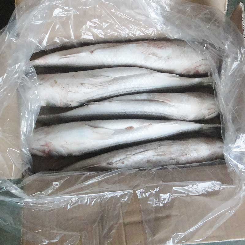 LongSheng Array image122