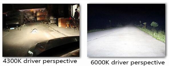 HONGCHANG-Xenon Hid Light Bulbs 4300k 6000k 8000k For Lens - Hongchang Led