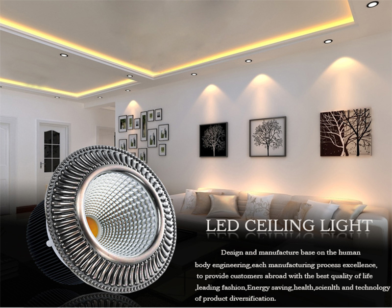Leimove-Find Best Selling White Led Spotlights From Leimove Lighting-1