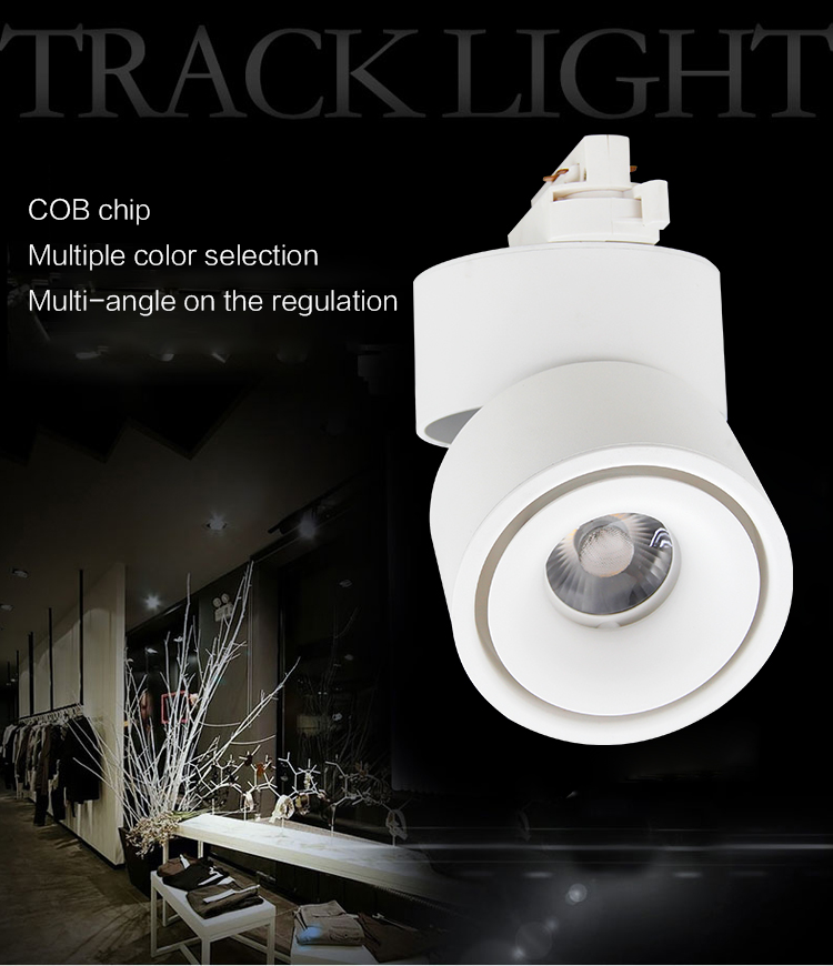 Leimove-Find High Quality Dimmable Led Track Lighting On Leimove Lighting