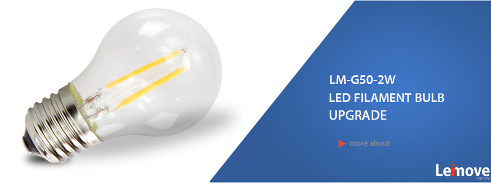 Leimove-Glass LED Filament Bulb From Leimove Lighting-1