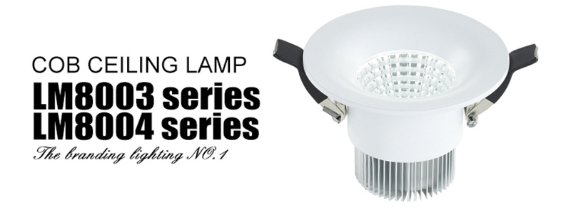 Leimove-Find Hot Sale Led Home Spotlight On Leimove-3