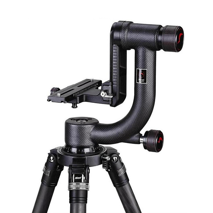 weifeng Array image102