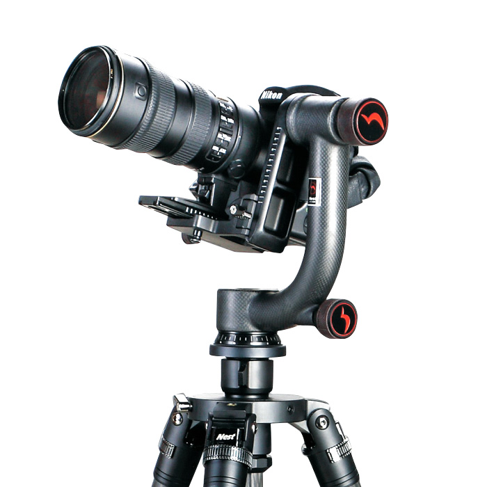 weifeng Array image187