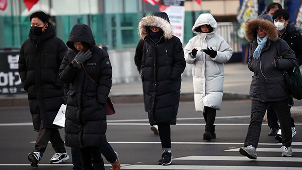 New Year ushered in a strong cold wave