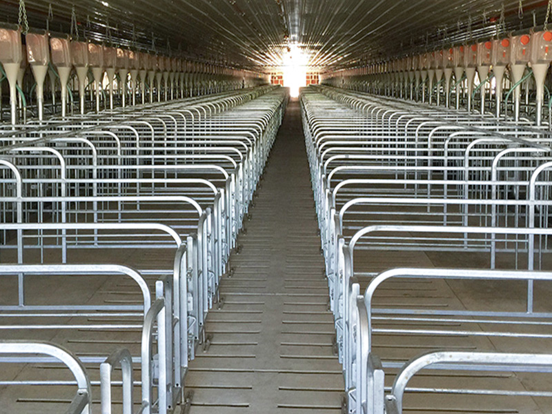 Canglong Array image76