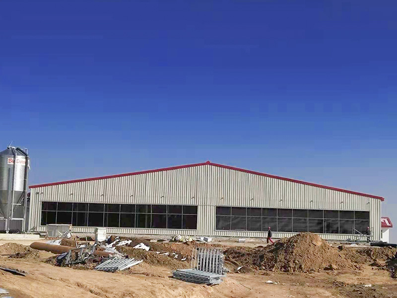 Canglong Array image87