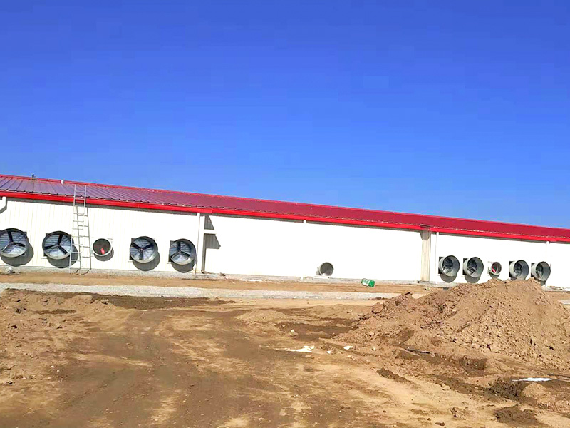 Canglong Array image81