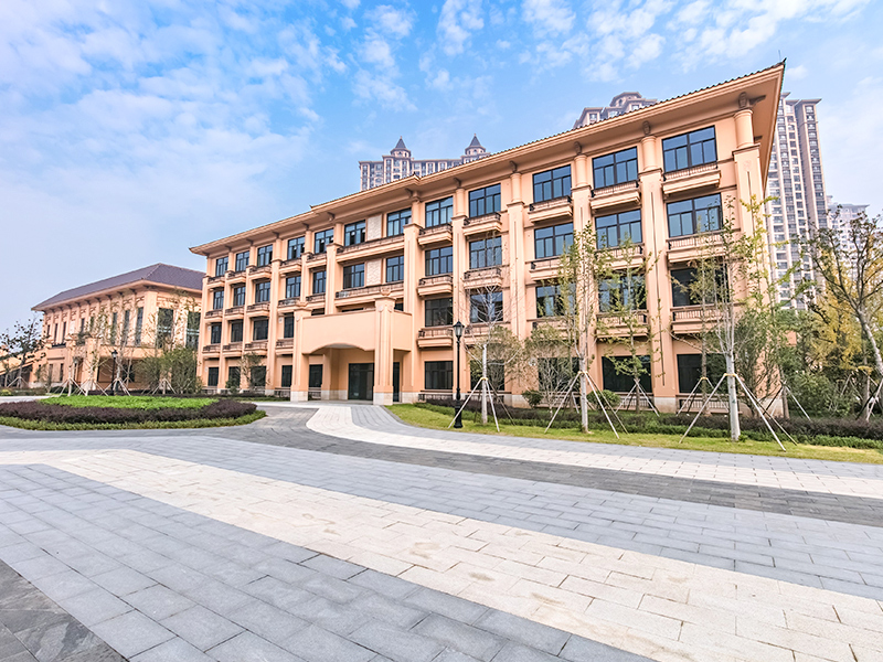 Canglong Array image56