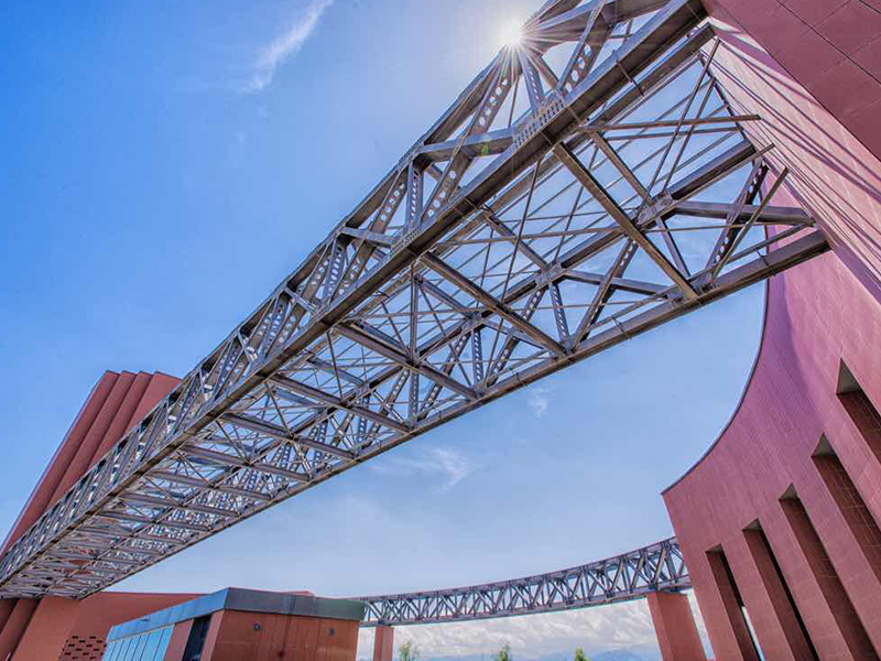 Canglong Array image92