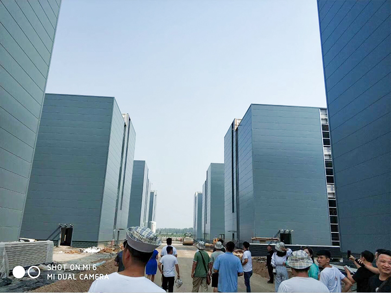 Canglong Array image24