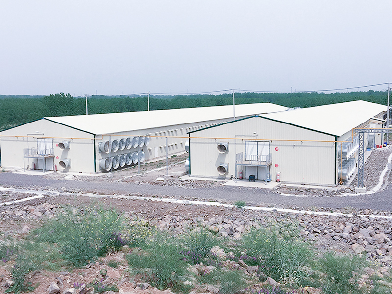 Canglong Array image23