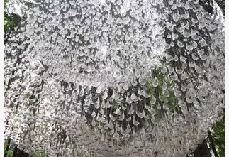 news-EME LIGHTING-img