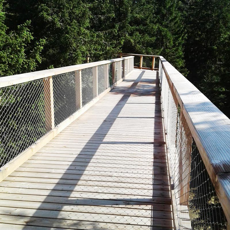 Candurs Array image19