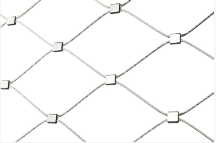 Candurs Array image13