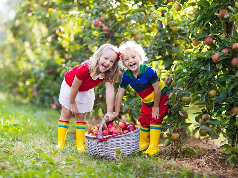 Tepro-Quality Ultraviolet Light Water Purifier | Water Purifier Uvc Sterilizer-7