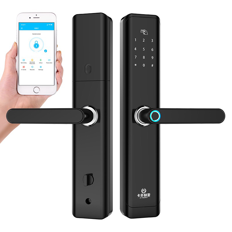 Fishcat Array image57