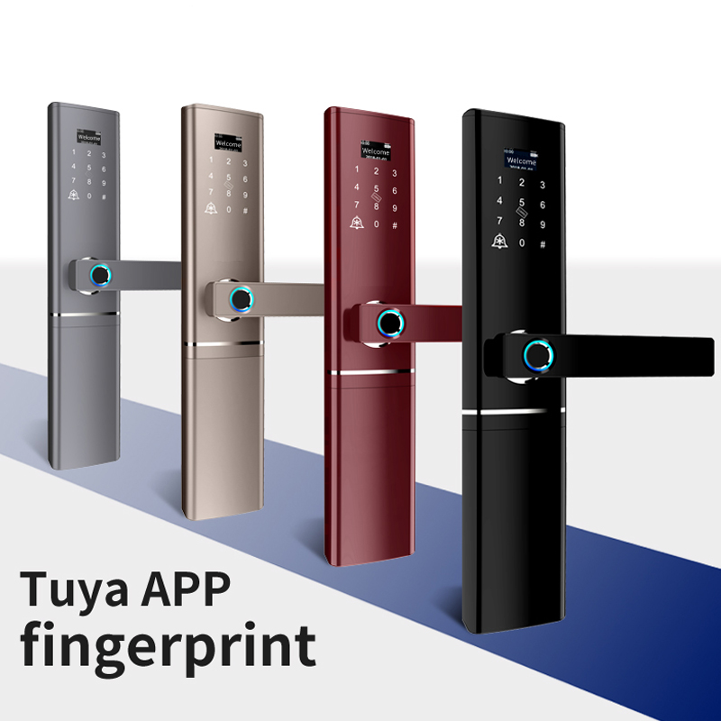 Fishcat Array image52