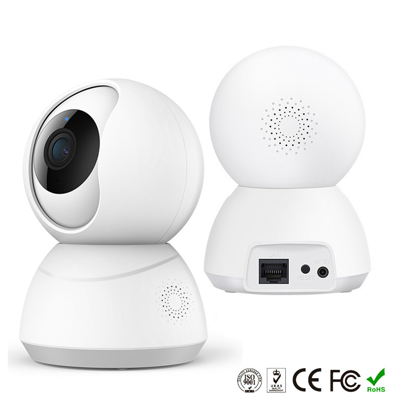 Fishcat Array image75