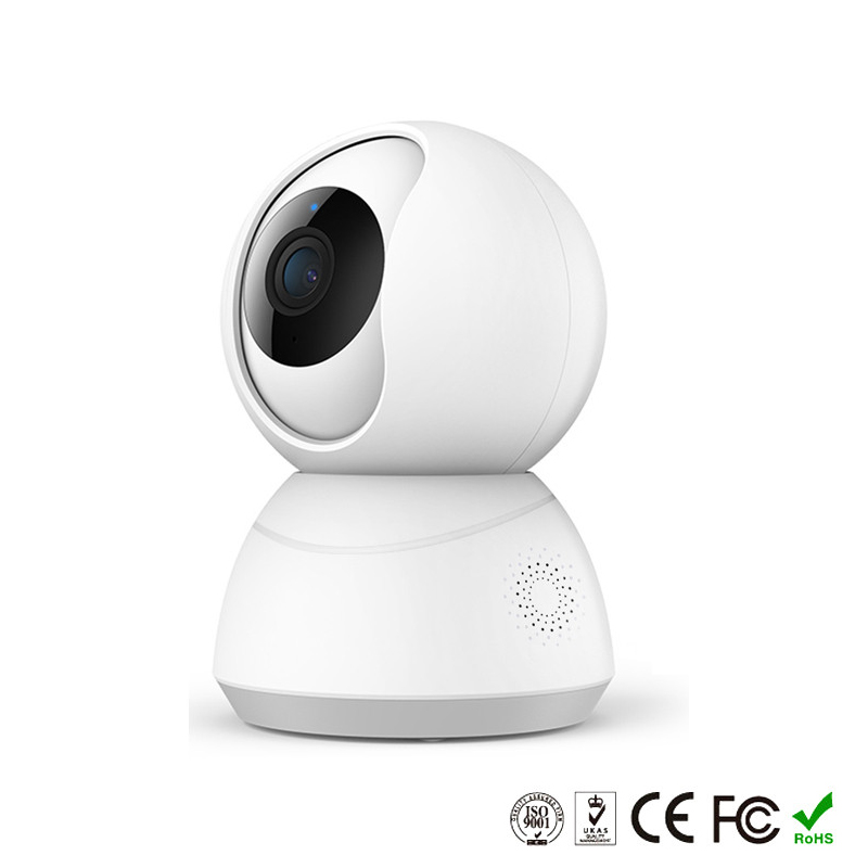 Fishcat Array image18