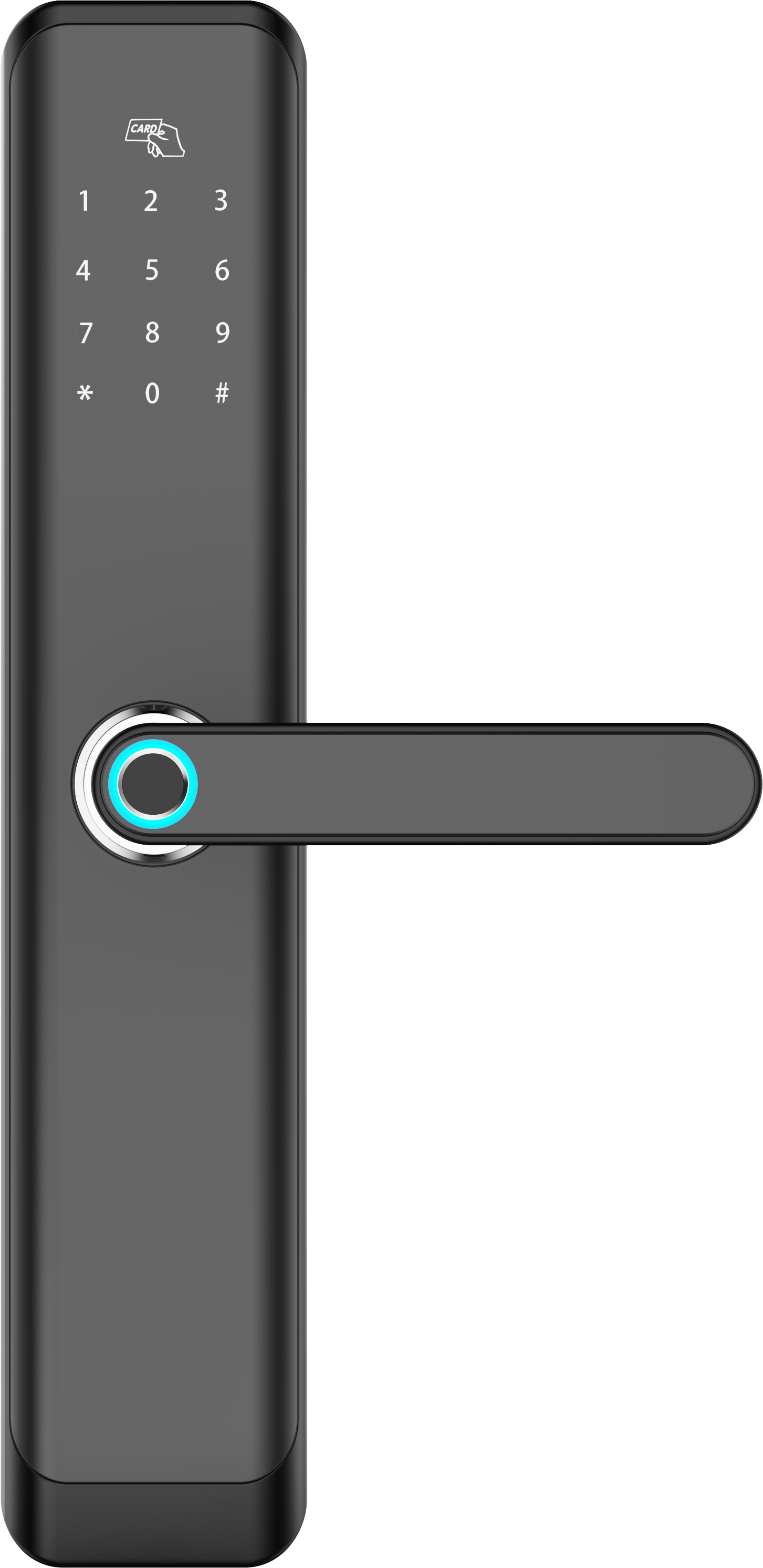 Fishcat Array image41