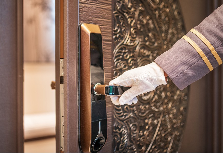 Fishcat Array image23