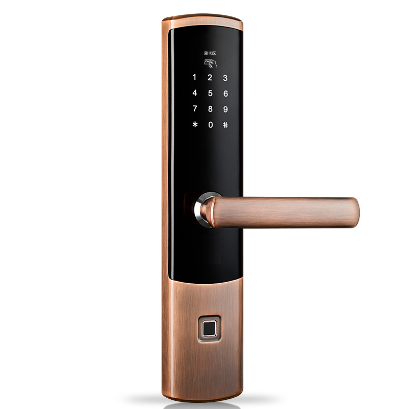 Fishcat Array image47