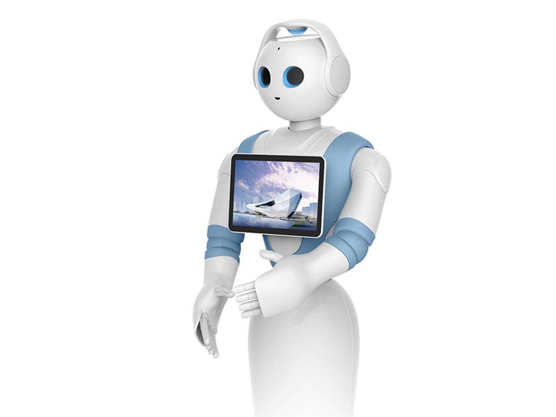 LCD Mall Array image60