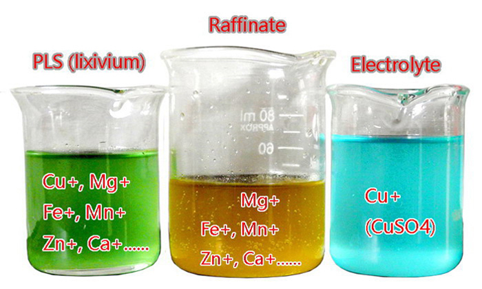 Deyuan Array image196