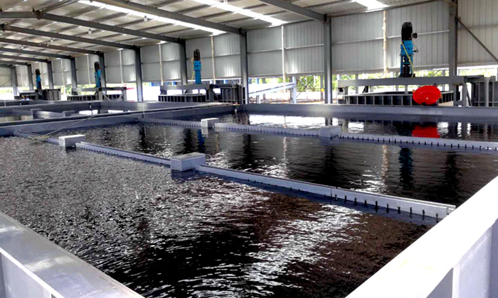 Deyuan Array image191