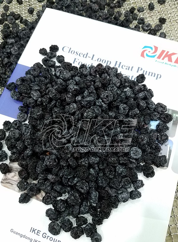 IKE-News About Blueberry Dehydrator-1