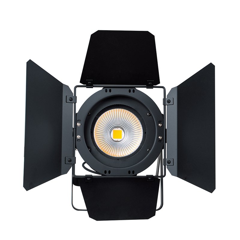 1PCS 100W Warm White Cob Led Par Light