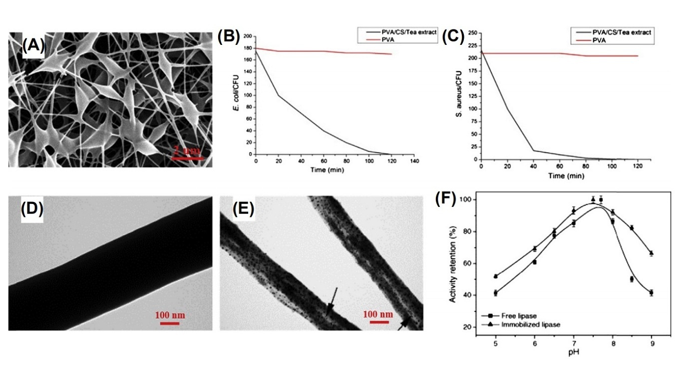 Scanning electron microscopy image of PVA/CS/tea extract/GOD nanofibers