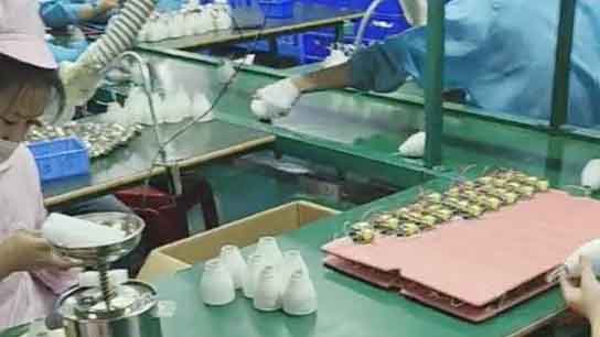 Fishcat Array image50