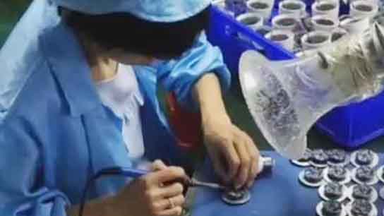 Fishcat Array image11