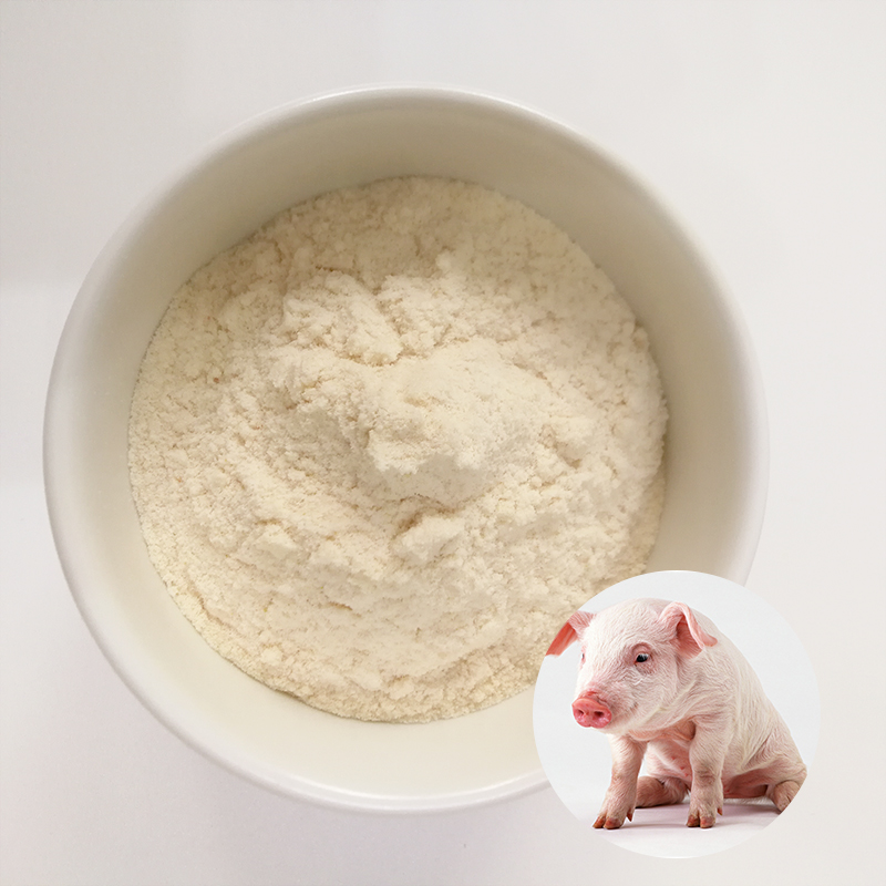 Rengty Array image140