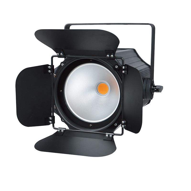 200W LED COB PAR Light