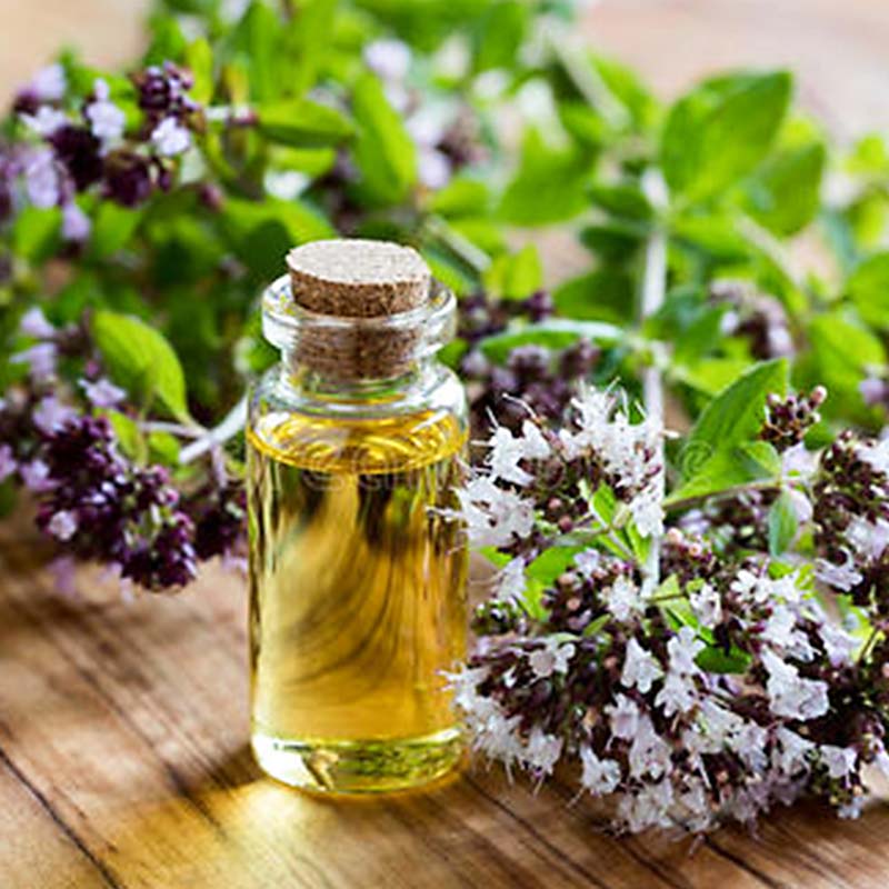 Rengty Array image80