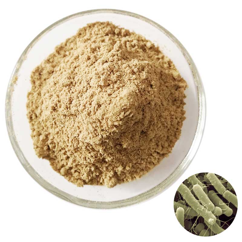 Rengty Array image115