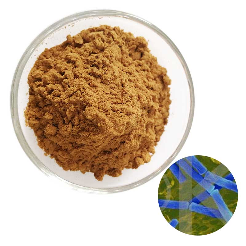 Rengty Array image94