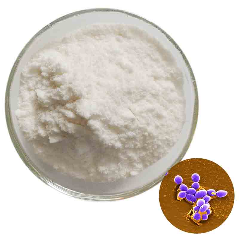 Rengty Array image97